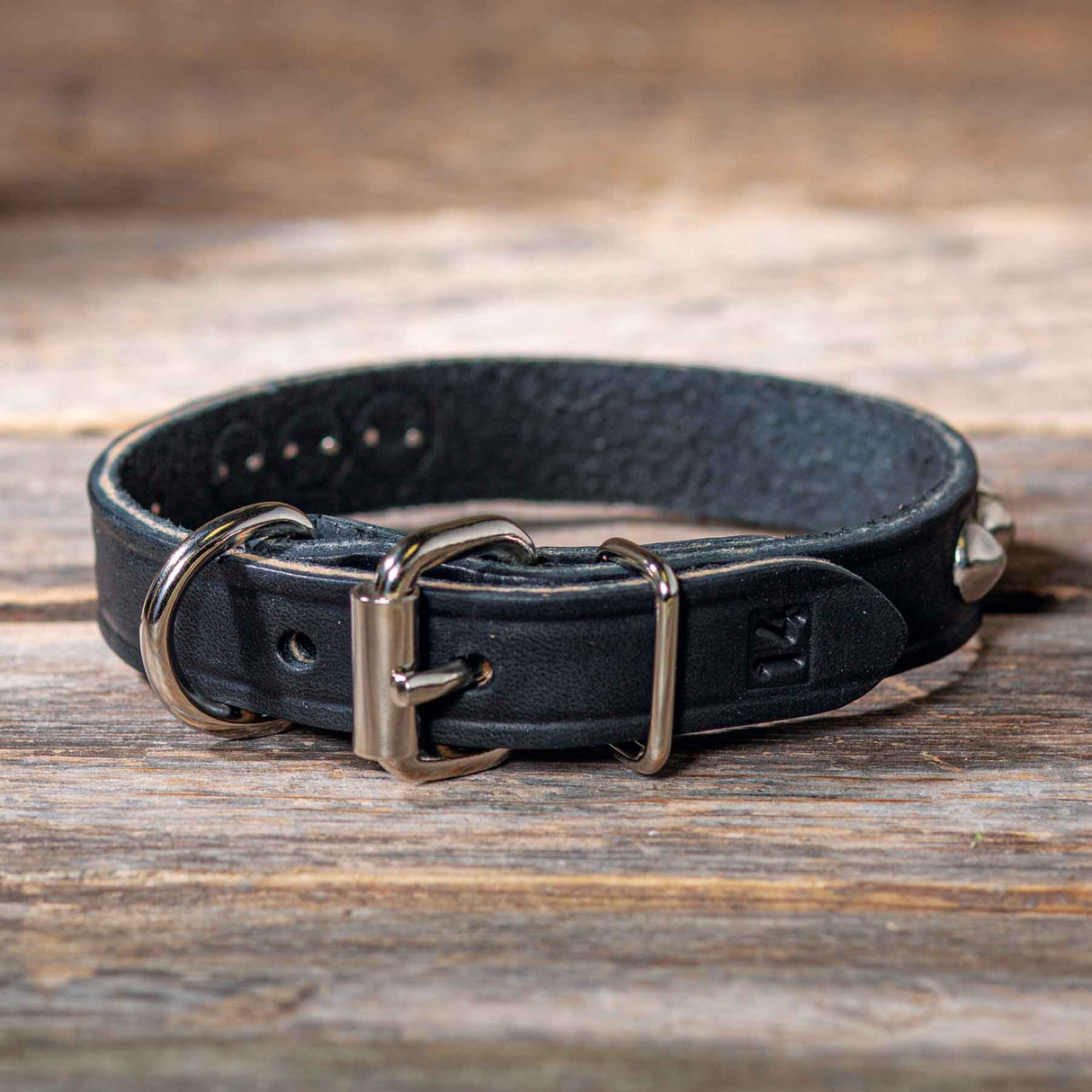 Leather Single Ply Studded Beagle Collar