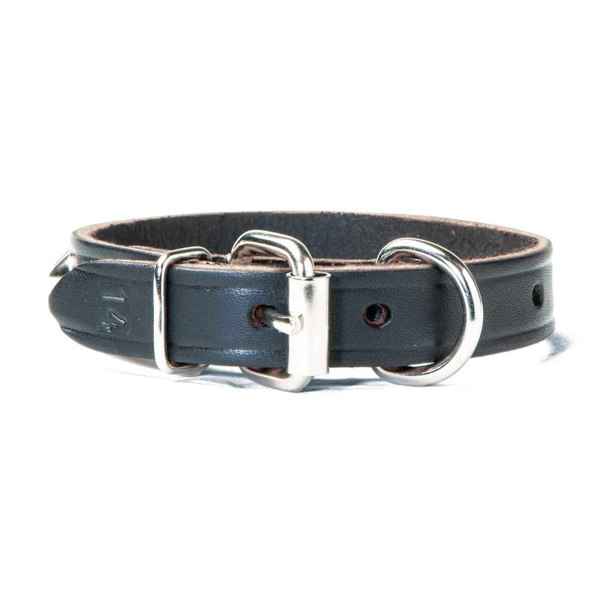 Leather Single Ply Studded Beagle Collar