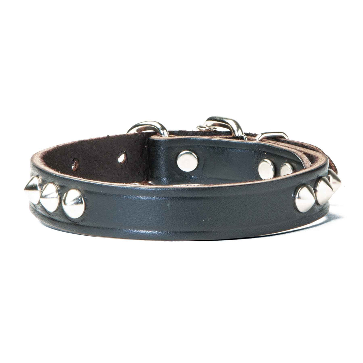 Leather Single Ply Studded Beagle Collar