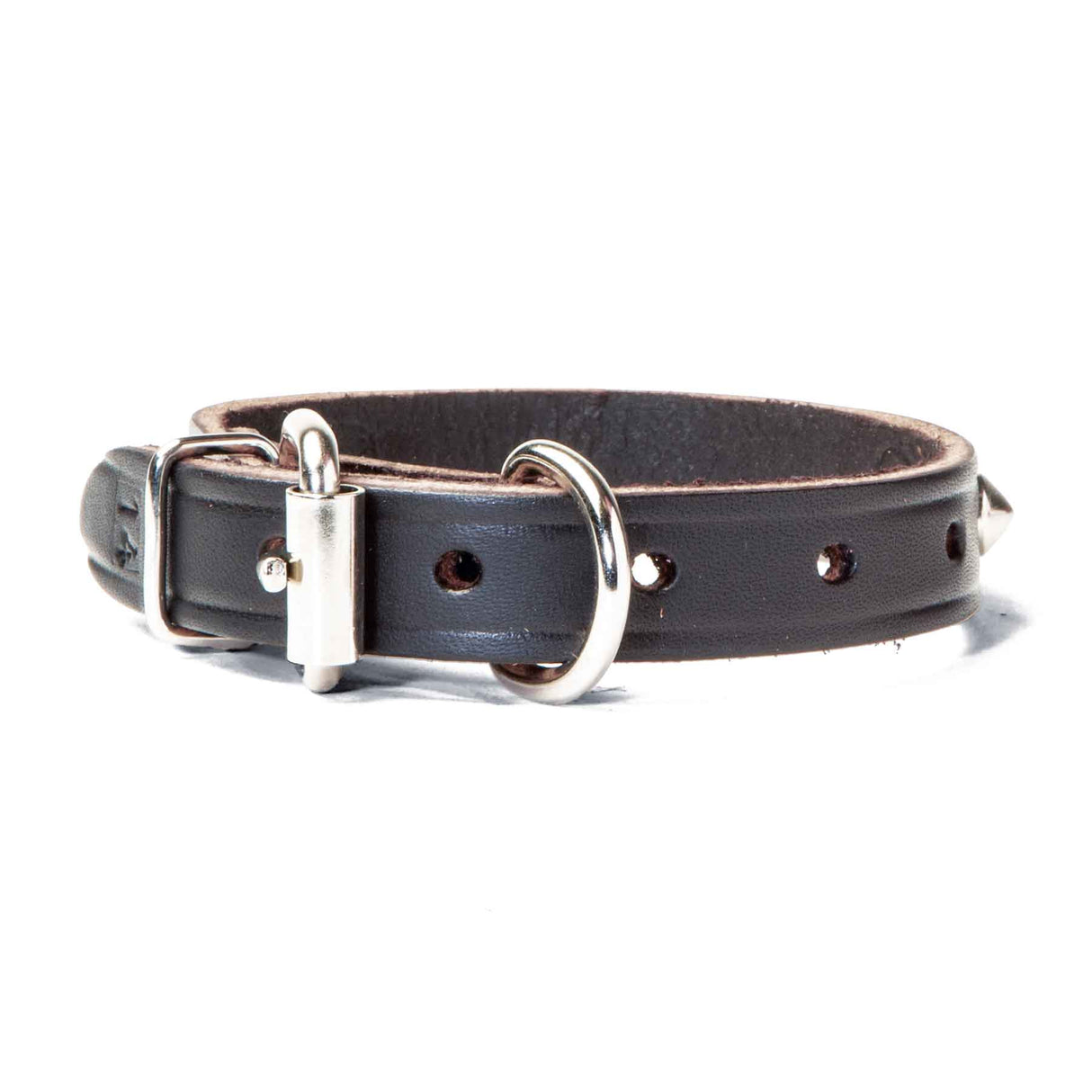 Leather Single Ply Studded Beagle Collar