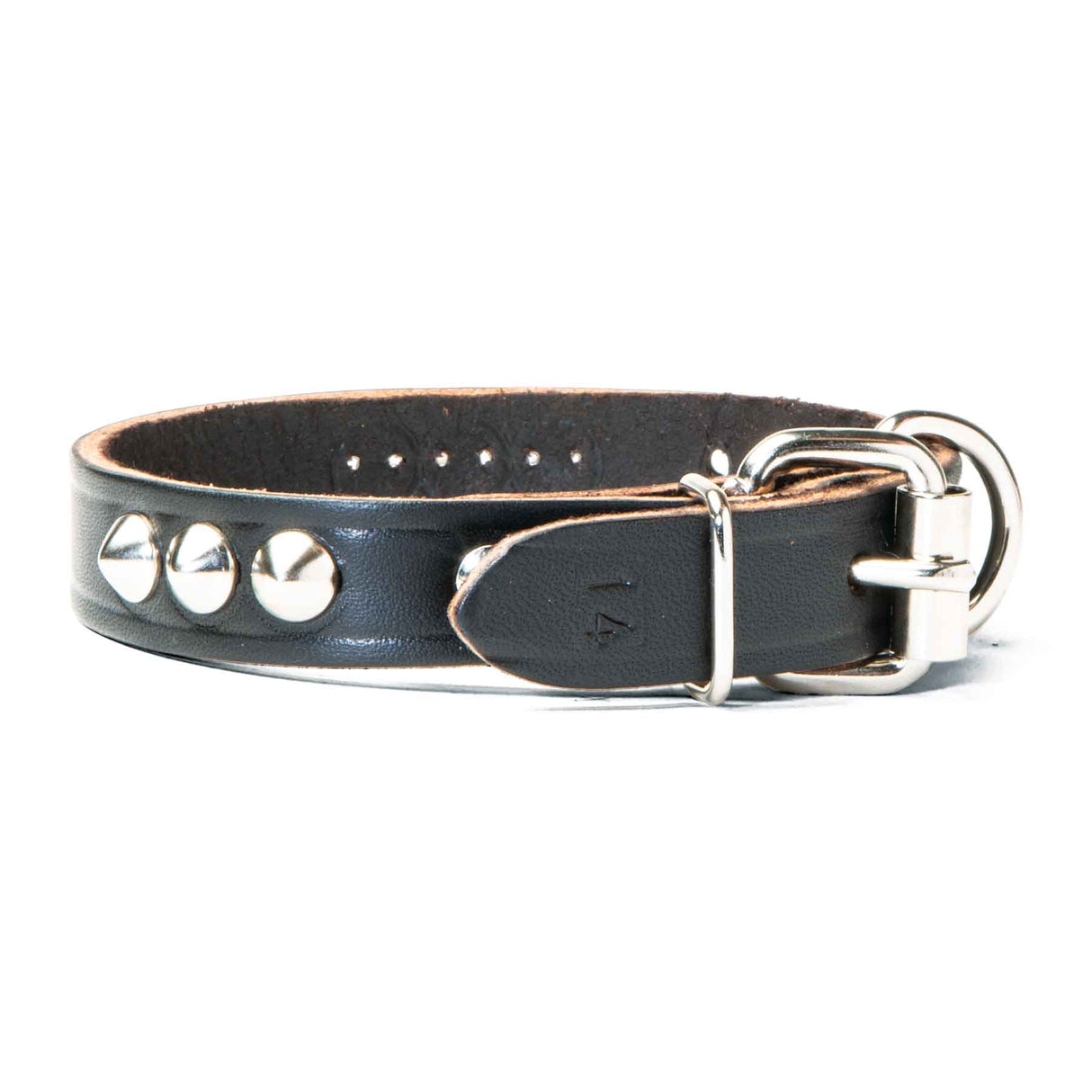 Leather Single Ply Studded Beagle Collar