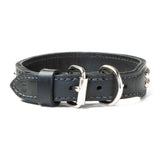 Double Ply 1 1/4" Wide Stitched & Studded Leather Dog Collar