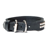 Double Ply 1 1/4" Wide Stitched & Studded Leather Dog Collar