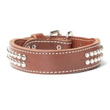 Double Ply 1 1/4" Wide Stitched & Studded Leather Dog Collar