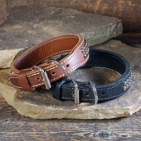 Double Ply 1 1/4" Wide Stitched & Studded Leather Dog Collar