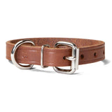 Single Ply 3/4" Wide Leather Dog Collar - Regular D-Ring