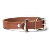 Single Ply 3/4" Wide Leather Dog Collar - Regular D-Ring