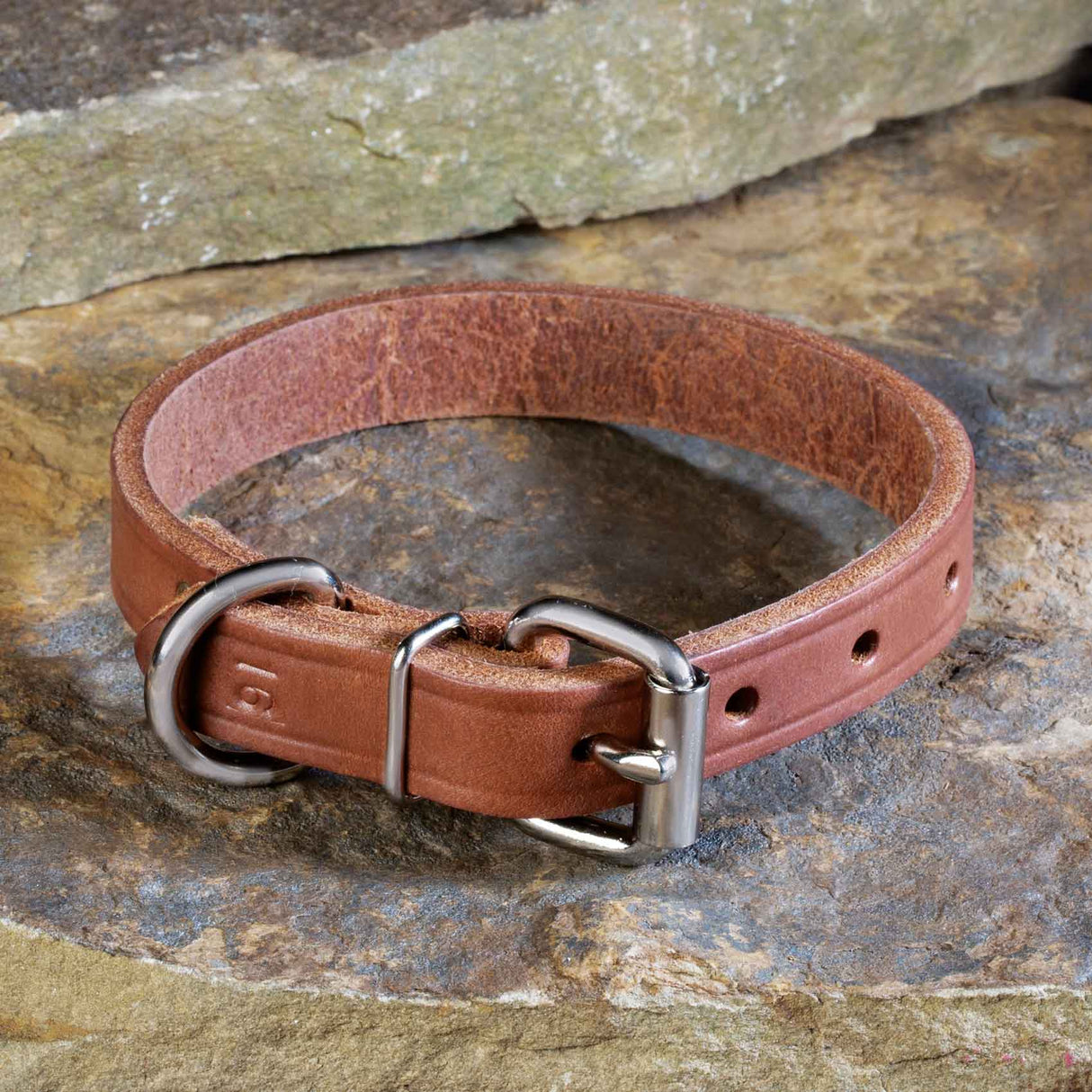 Single Ply 3/4" Wide Leather Dog Collar - Regular D-Ring