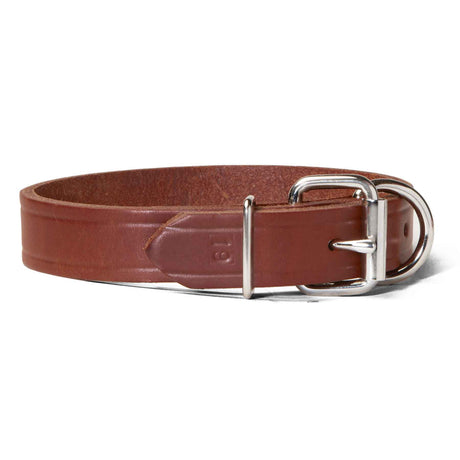 Single Ply 1" Wide Leather Dog Collar - Extended D-Ring