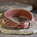 Double Ply 2" Wide Leather Studded Dog Collar