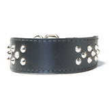 Double Ply 2" Wide Leather Studded Dog Collar