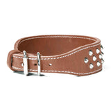 Double Ply 2" Wide Leather Studded Dog Collar