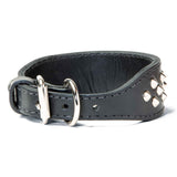 Double Ply 2" Wide Leather Studded Dog Collar