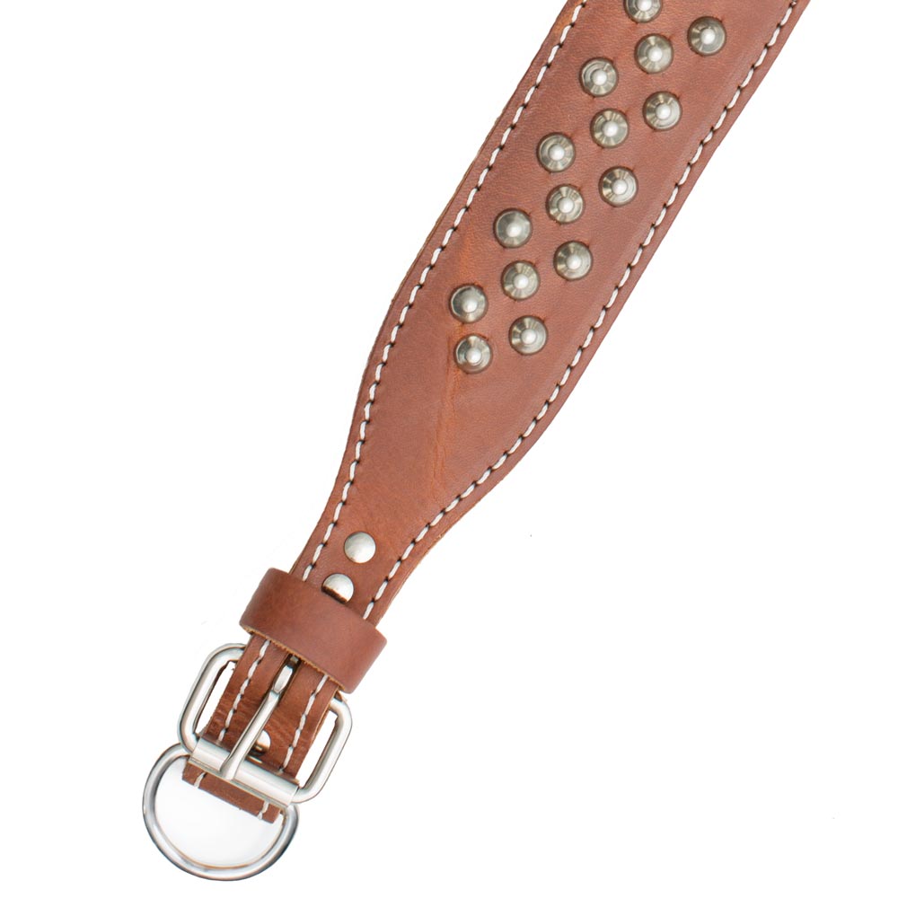 Double Ply 2" Wide Leather Studded Dog Collar