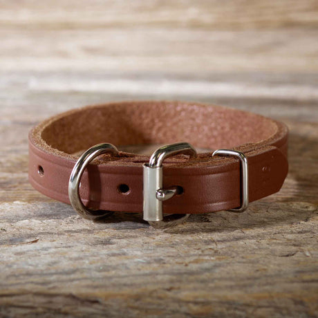 Single Ply 3/4" Wide Leather Dog Collar - Extended D-Ring