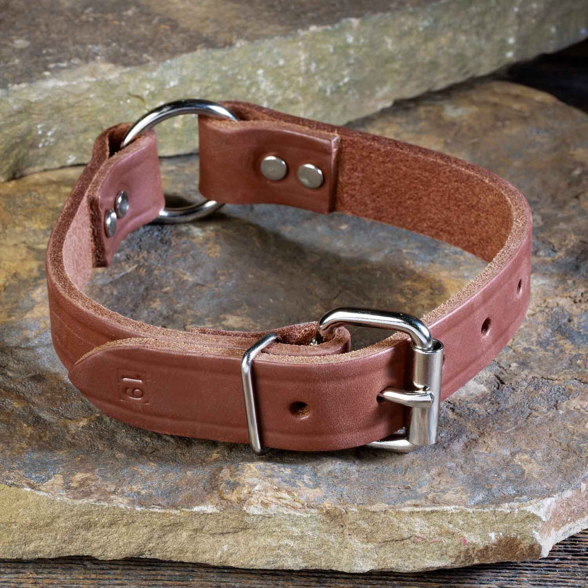 1" Wide Leather Dog Collar With Optional ID Tag