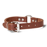 Double Ply 3/4" Wide Leather Dog Collar