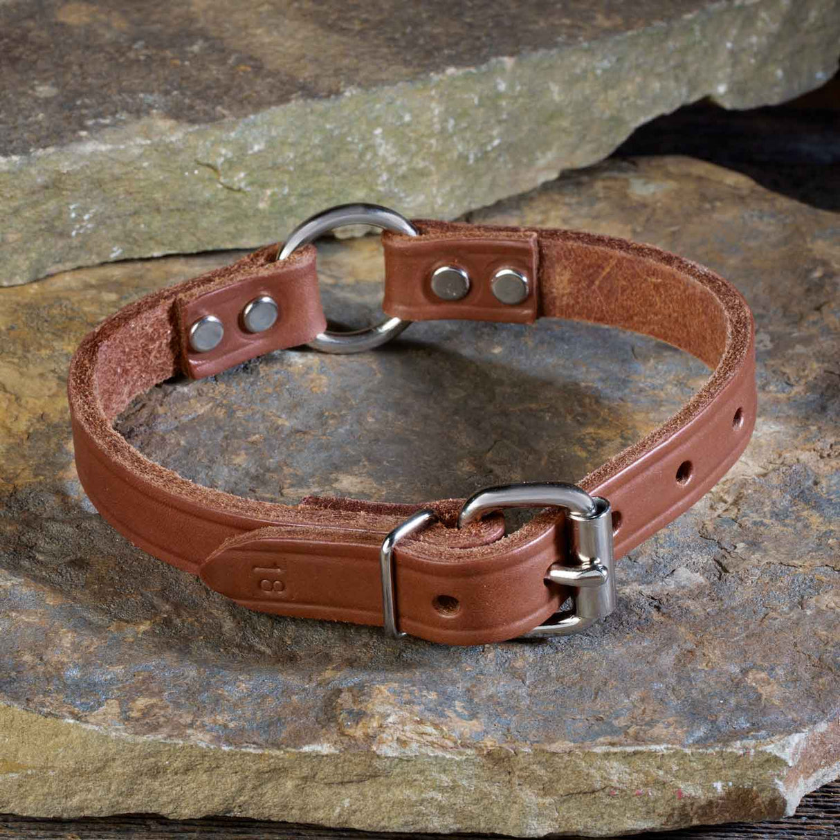 Double Ply 3/4" Wide Leather Dog Collar