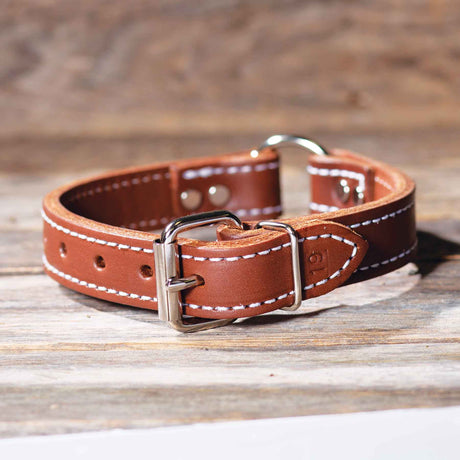 Double Ply 1" Wide Stitched Leather Dog Collar - Ring-N-Center