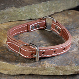 Double Ply 3/4" Wide Stitched Leather Dog Collar - Ring-N-Center