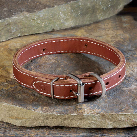 Double Ply 3/4" Wide Stitched Leather Dog Collar - D-Ring in Front