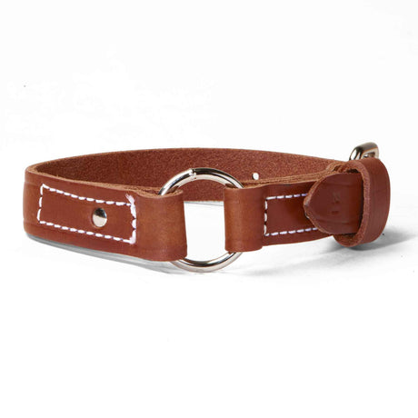 Single Ply 1" Wide Stitched Leather Dog Collar - Ring-N-Center