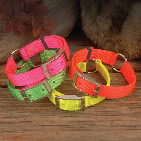 Nite Lite Hi-Viz 1" Nylon Ring-N-Center Collar