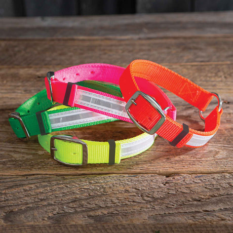 Nite Lite Hi-Viz Nylon Collar Ring-N-Center with Reflexite Strip