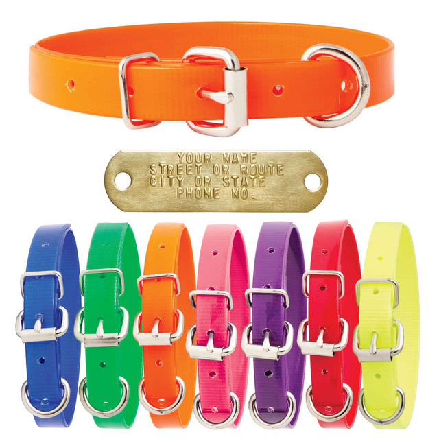 Nite Lite 3/4" Day-Glo Collar D-Ring in Front - Huntsmart