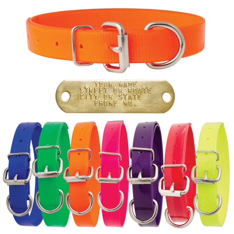 Nite Lite 1" Day-Glo Dog Collar D-Ring in Front - Huntsmart