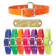 Nite Lite 3/4" Day-Glo Collar Ring-N-Center - Huntsmart