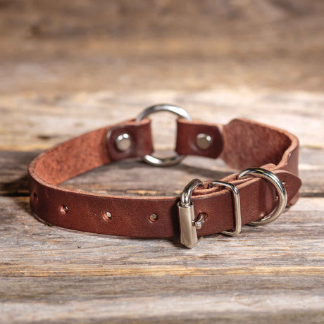 Leather Ring-N-Center Beagle Collar