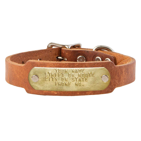 Leather Single Ply Beagle Collar - Huntsmart