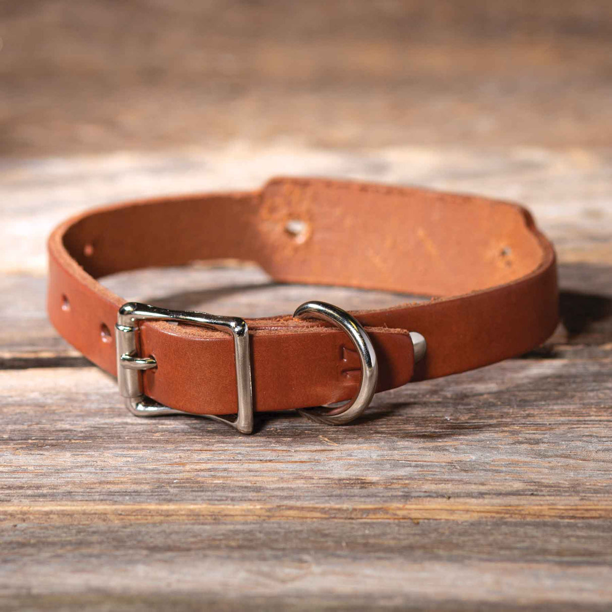 Leather Single Ply Beagle Collar