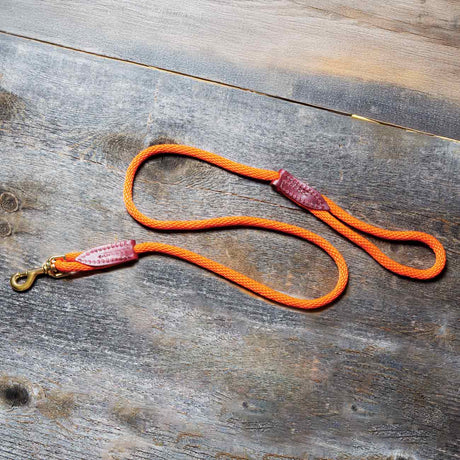 Orange Rope Lead With Clip