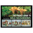 The Pocket Guide to Wild Mushrooms - Huntsmart