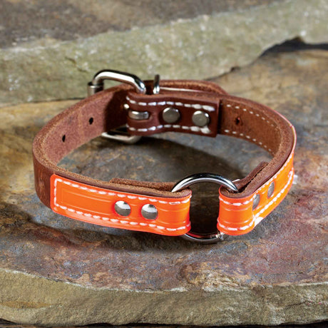 Single Ply 3/4" Wide Stitched Reflective Leather Dog Collar