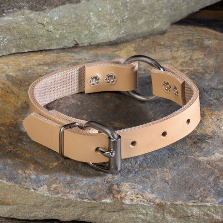 Perma Tough 1" Wide Dog Collar - Ring-N-Center