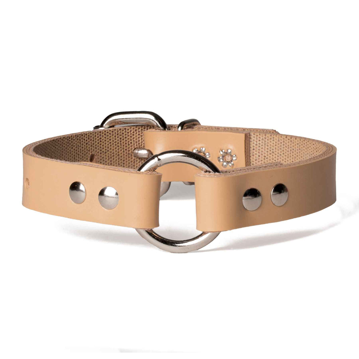 Perma Tough 3/4" Wide Dog Collar - Ring-N-Center