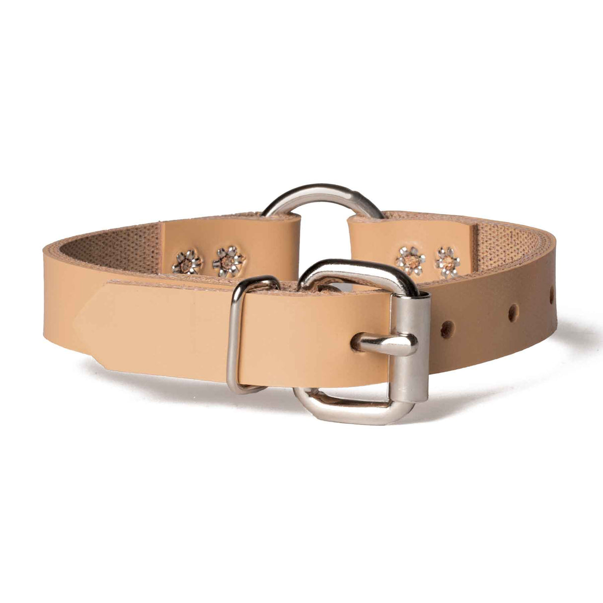 Perma Tough 3/4" Wide Dog Collar - Ring-N-Center