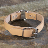 Perma Tough 3/4" Wide Dog Collar - Ring-N-Center