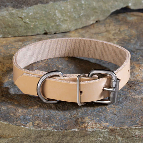 Perma Tough 3/4" Wide Dog Collar Regular D-Ring