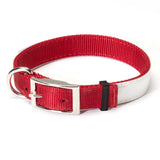 Nite Lite Reflexite Nylon 1" D-Ring in Front Reflective Dog Collar - Huntsmart