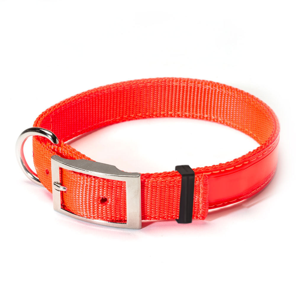 Nite Lite Reflexite Nylon 1" D-Ring in Front Reflective Dog Collar - Huntsmart