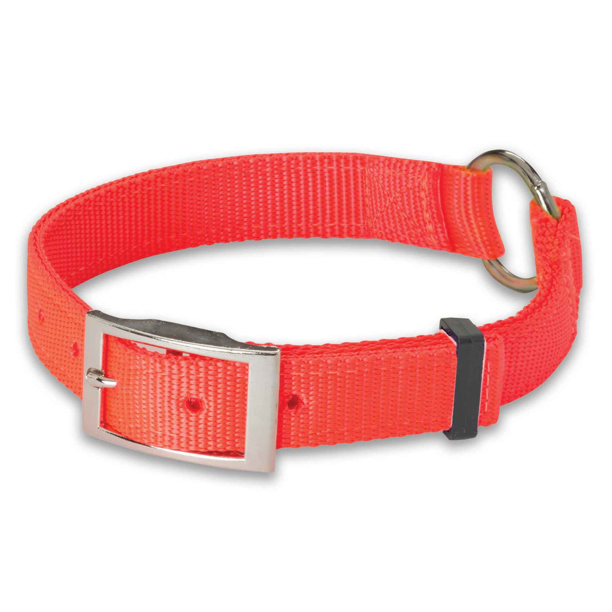 Nite Lite Double Ply Nylon 3/4 " Ring-N-Center Dog Collar - Huntsmart