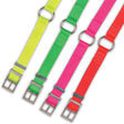 Nite Lite Hi-Viz 1" Nylon Ring-N-Center Collar - Huntsmart