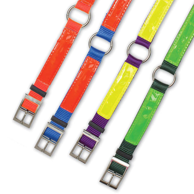 Nite Lite Reflexite Nylon 3/4" Ring-N-Center Reflective Dog Collar - Huntsmart