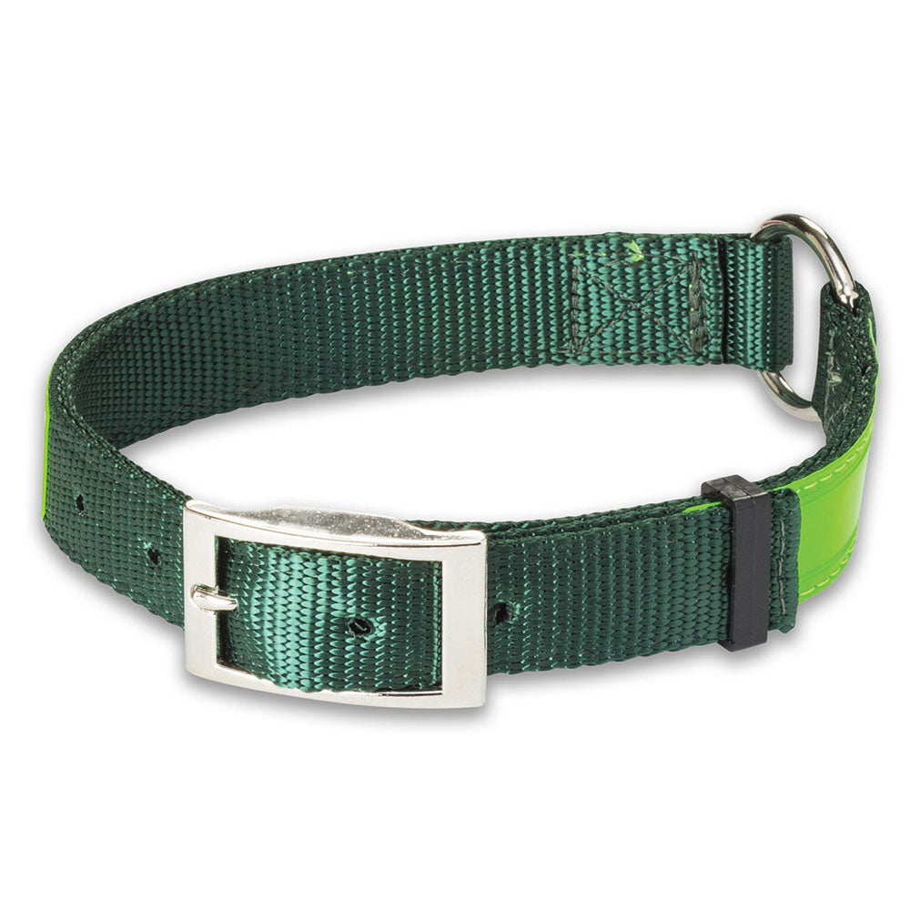 Nite Lite Reflexite Nylon 1" Ring-N-Center Reflective Dog Collar - Huntsmart