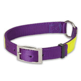 Nite Lite Reflexite Nylon 1" Ring-N-Center Reflective Dog Collar - Huntsmart