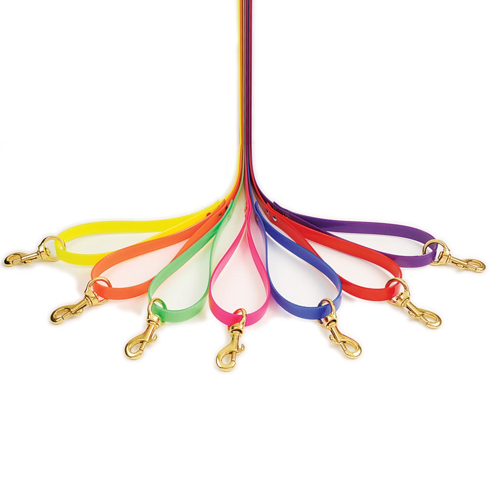 Nite Lite Day-Glo Tree Tie Dog Leads - Huntsmart